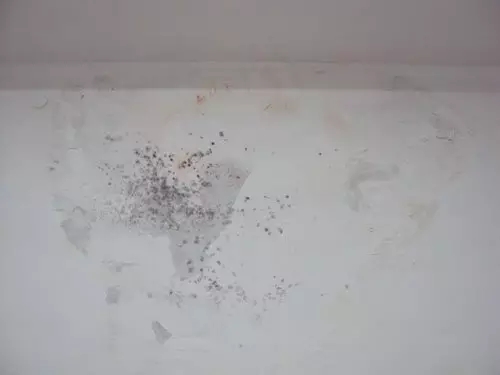 房屋墻壁滲水怎么辦？別擔(dān)心，炫威裝飾來(lái)支招