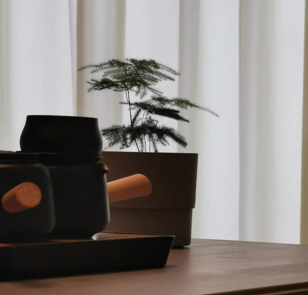 家庭裝修中提升室內(nèi)美感的10種綠植